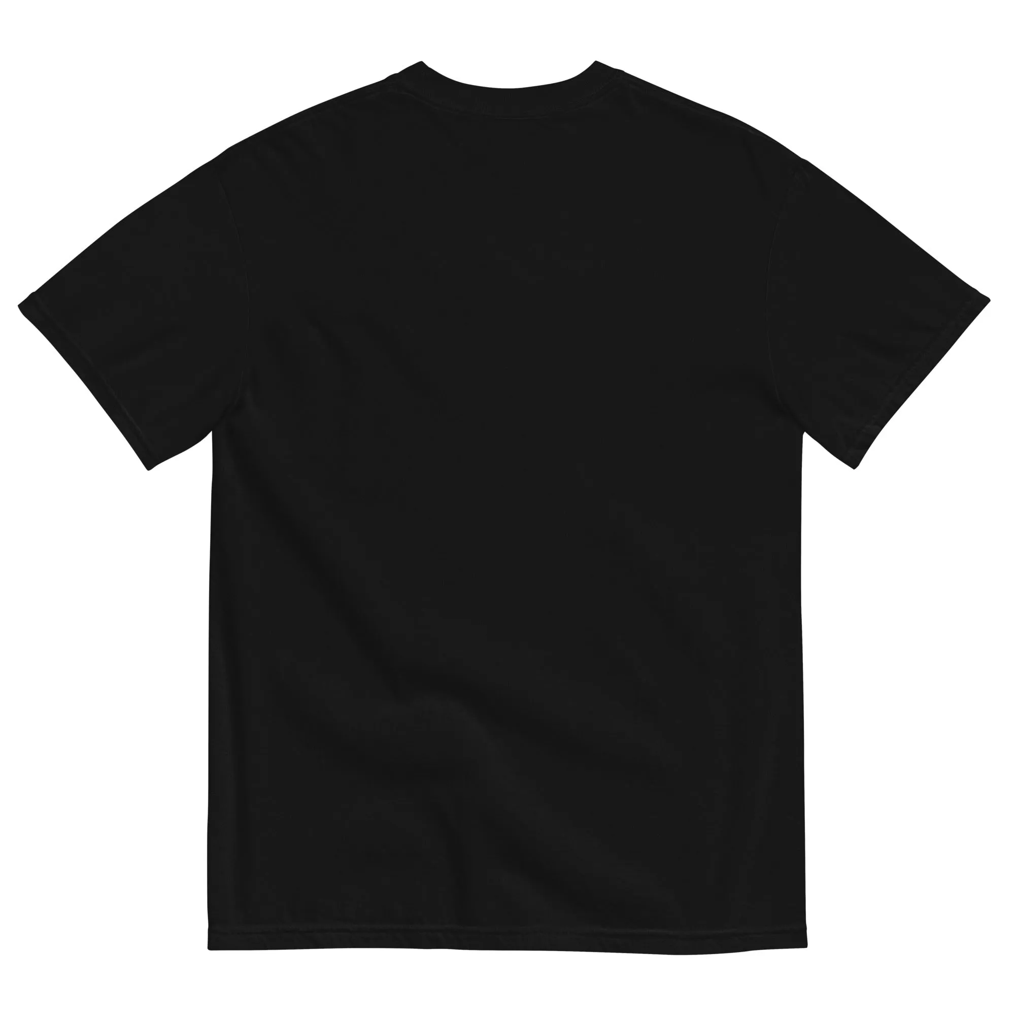 CCSU Lady Hooligans Garment Dyed T-Shirt