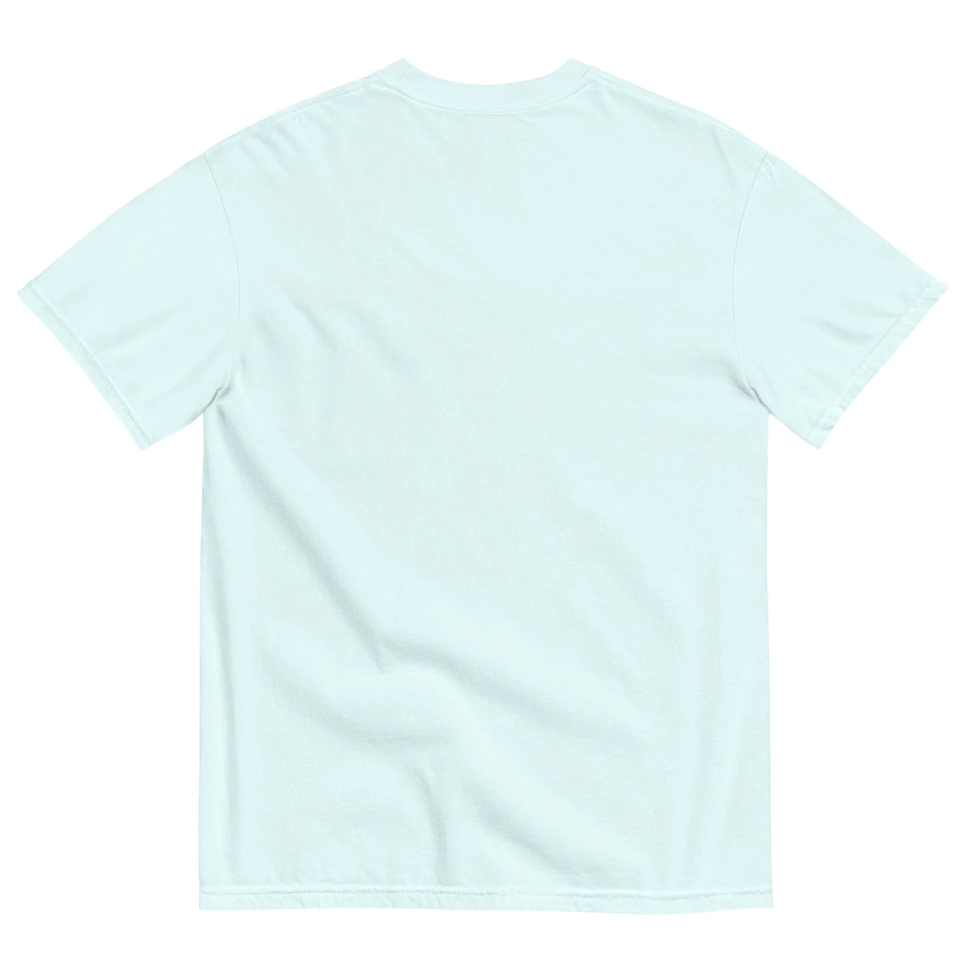 CCSU Lady Hooligans Garment Dyed T-Shirt
